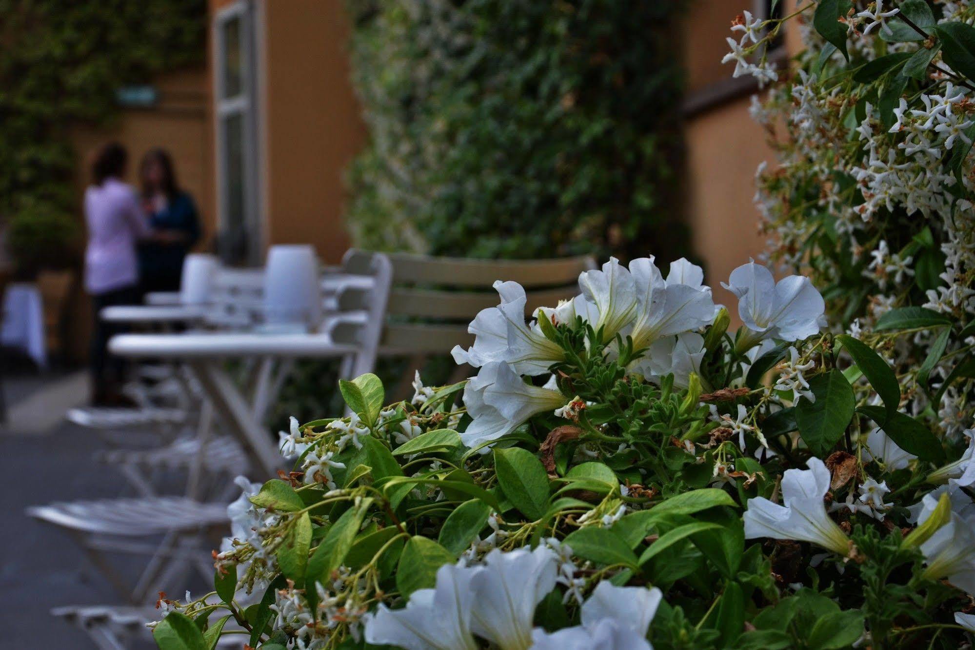 Hotel Capo D´áfrica – Colosseo